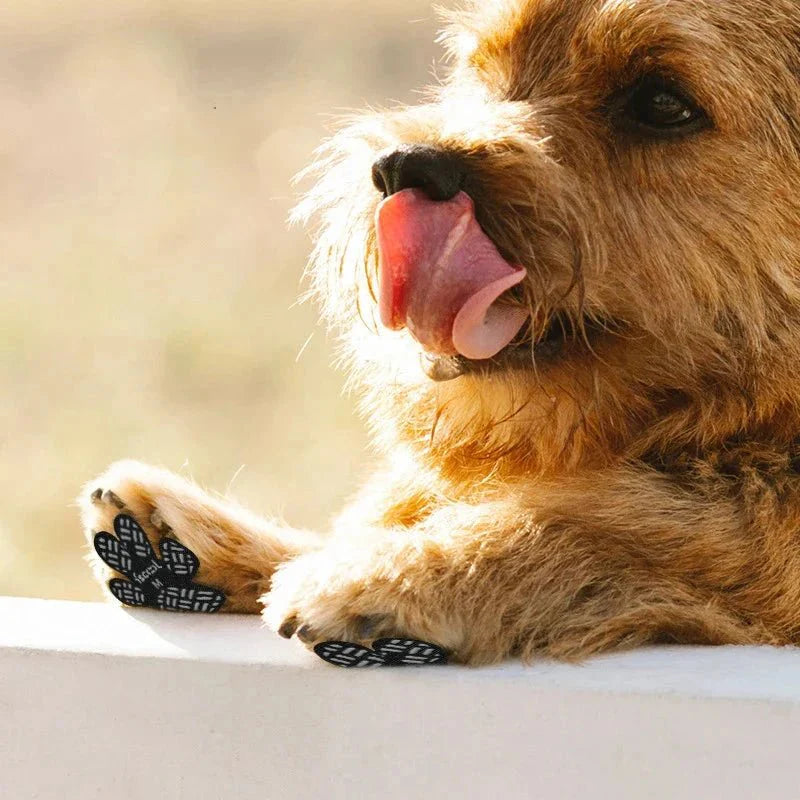 Protetor de Patas PetSafe™ | Antiderrapante e Respirável para Cães e Gatos