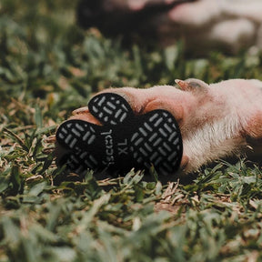 Protetor de Patas PetSafe™ | Antiderrapante e Respirável para Cães e Gatos